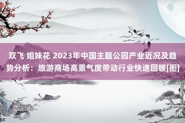 双飞 姐妹花 2023年中国主题公园产业近况及趋势分析：旅游商场高景气度带动行业快速回暖[图]