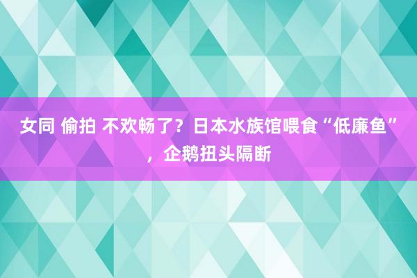 女同 偷拍 不欢畅了？日本水族馆喂食“低廉鱼”，企鹅扭头隔断