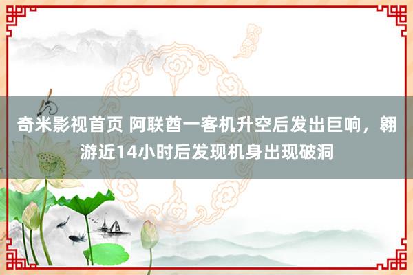 奇米影视首页 阿联酋一客机升空后发出巨响，翱游近14小时后发现机身出现破洞