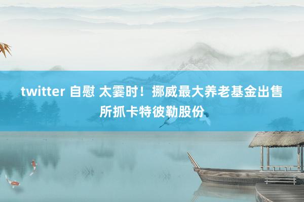 twitter 自慰 太霎时！挪威最大养老基金出售所抓卡特彼勒股份