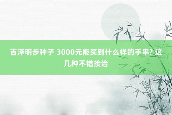 吉泽明步种子 3000元能买到什么样的手串? 这几种不错接洽