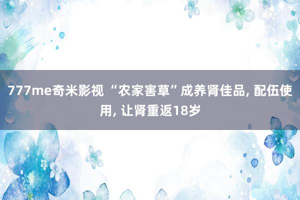 777me奇米影视 “农家害草”成养肾佳品， 配伍使用， 让肾重返18岁