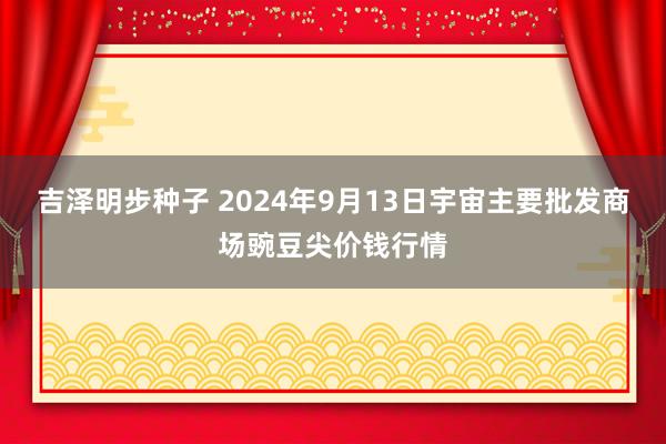 吉泽明步种子 2024年9月13日宇宙主要批发商场豌豆尖价钱行情