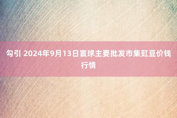 勾引 2024年9月13日寰球主要批发市集豇豆价钱行情