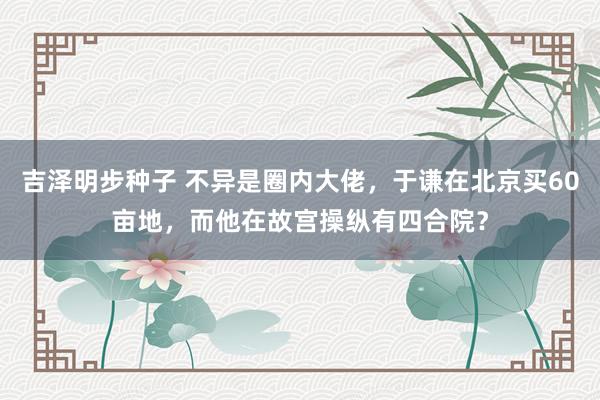 吉泽明步种子 不异是圈内大佬，于谦在北京买60亩地，而他在故宫操纵有四合院？