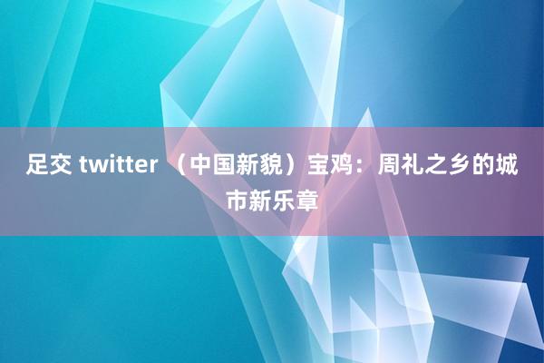 足交 twitter （中国新貌）宝鸡：周礼之乡的城市新乐章