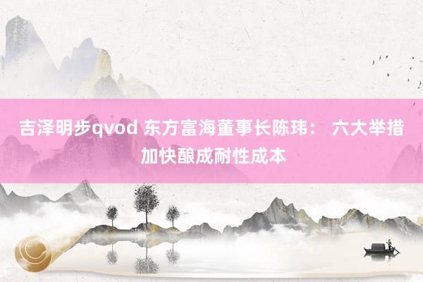 吉泽明步qvod 东方富海董事长陈玮： 六大举措 加快酿成耐性成本