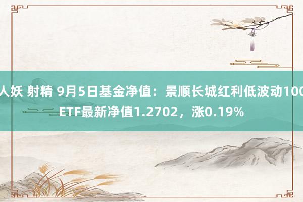 人妖 射精 9月5日基金净值：景顺长城红利低波动100ETF最新净值1.2702，涨0.19%