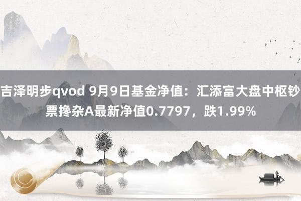 吉泽明步qvod 9月9日基金净值：汇添富大盘中枢钞票搀杂A最新净值0.7797，跌1.99%