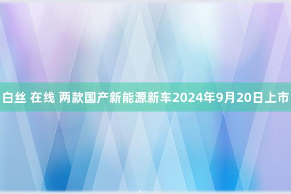 白丝 在线 两款国产新能源新车2024年9月20日上市