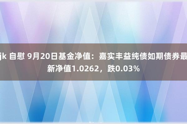 jk 自慰 9月20日基金净值：嘉实丰益纯债如期债券最新净值1.0262，跌0.03%