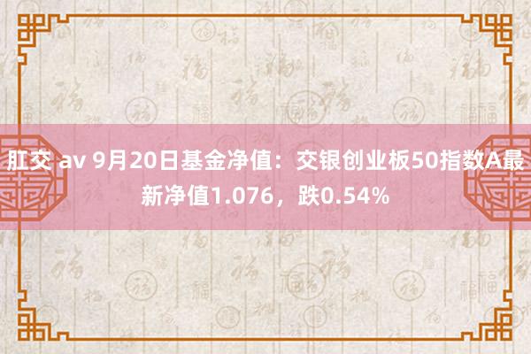 肛交 av 9月20日基金净值：交银创业板50指数A最新净值1.076，跌0.54%