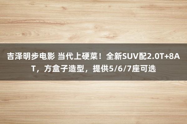 吉泽明步电影 当代上硬菜！全新SUV配2.0T+8AT，方盒子造型，提供5/6/7座可选