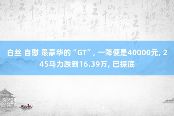 白丝 自慰 最豪华的“GT”， 一降便是40000元， 245马力跌到16.39万， 已探底