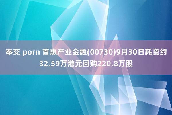 拳交 porn 首惠产业金融(00730)9月30日耗资约32.59万港元回购220.8万股