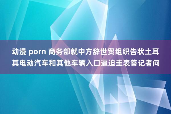 动漫 porn 商务部就中方辞世贸组织告状土耳其电动汽车和其他车辆入口逼迫圭表答记者问