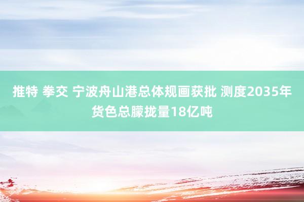 推特 拳交 宁波舟山港总体规画获批 测度2035年货色总朦拢量18亿吨