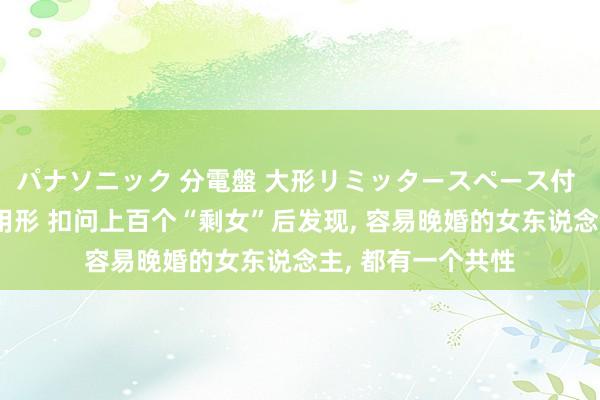 パナソニック 分電盤 大形リミッタースペース付 露出・半埋込両用形 扣问上百个“剩女”后发现， 容易晚婚的女东说念主， 都有一个共性