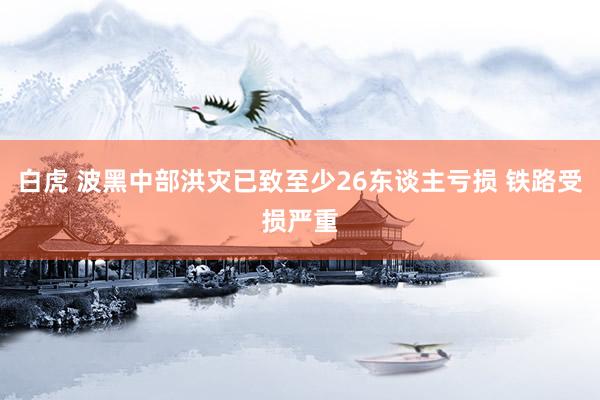 白虎 波黑中部洪灾已致至少26东谈主亏损 铁路受损严重