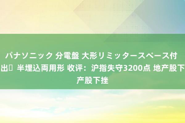 パナソニック 分電盤 大形リミッタースペース付 露出・半埋込両用形 收评：沪指失守3200点 地产股下挫