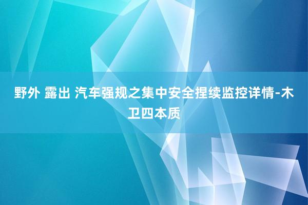 野外 露出 汽车强规之集中安全捏续监控详情-木卫四本质