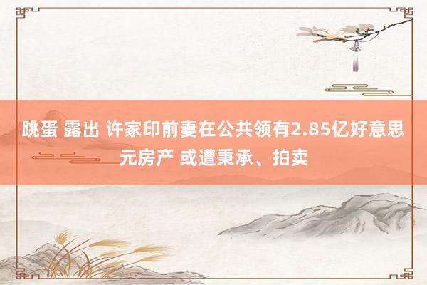 跳蛋 露出 许家印前妻在公共领有2.85亿好意思元房产 或遭秉承、拍卖