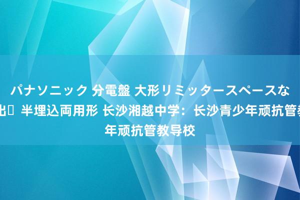 パナソニック 分電盤 大形リミッタースペースなし 露出・半埋込両用形 长沙湘越中学：长沙青少年顽抗管教导校