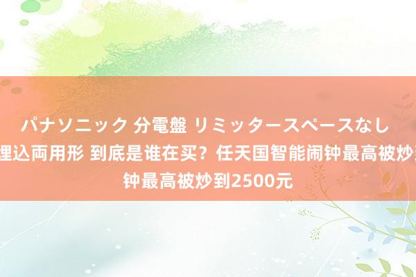 パナソニック 分電盤 リミッタースペースなし 露出・半埋込両用形 到底是谁在买？任天国智能闹钟最高被炒到2500元