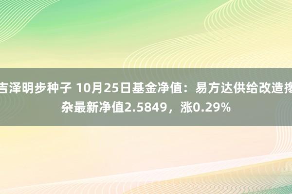 吉泽明步种子 10月25日基金净值：易方达供给改造搀杂最新净值2.5849，涨0.29%