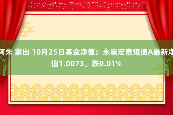 阿朱 露出 10月25日基金净值：永赢宏泰短债A最新净值1.0073，跌0.01%