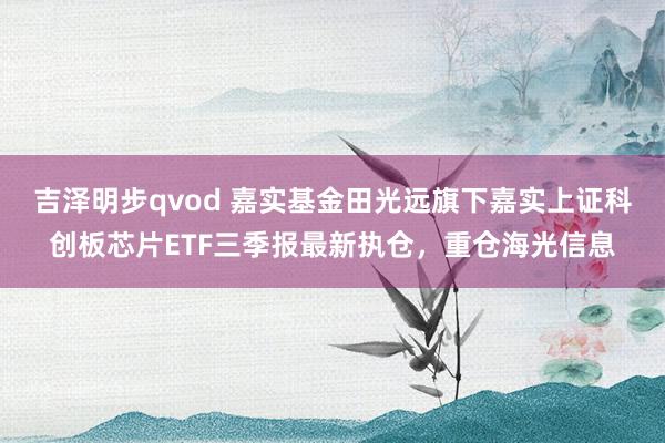 吉泽明步qvod 嘉实基金田光远旗下嘉实上证科创板芯片ETF三季报最新执仓，重仓海光信息