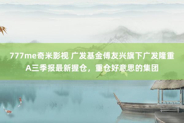 777me奇米影视 广发基金傅友兴旗下广发隆重A三季报最新握仓，重仓好意思的集团