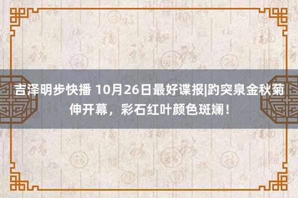 吉泽明步快播 10月26日最好谍报|趵突泉金秋菊伸开幕，彩石红叶颜色斑斓！