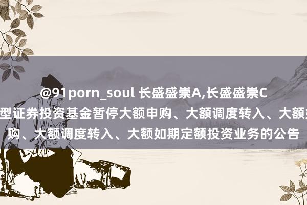 @91porn_soul 长盛盛崇A，长盛盛崇C: 长盛盛崇纯真建树羼杂型证券投资基金暂停大额申购、大额调度转入、大额如期定额投资业务的公告