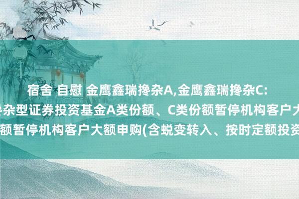 宿舍 自慰 金鹰鑫瑞搀杂A，金鹰鑫瑞搀杂C: 对于金鹰鑫瑞纯真设立搀杂型证券投资基金A类份额、C类份额暂停机构客户大额申购(含蜕变转入、按时定额投资)的公告