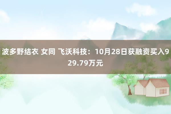 波多野结衣 女同 飞沃科技：10月28日获融资买入929.79万元