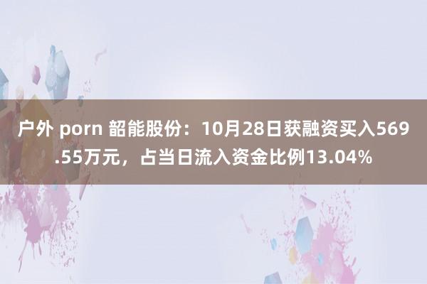 户外 porn 韶能股份：10月28日获融资买入569.55万元，占当日流入资金比例13.04%