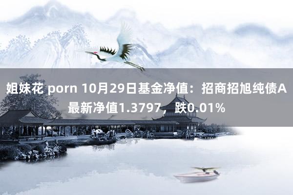 姐妹花 porn 10月29日基金净值：招商招旭纯债A最新净值1.3797，跌0.01%