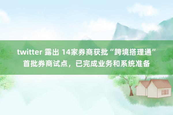 twitter 露出 14家券商获批“跨境搭理通”首批券商试点，已完成业务和系统准备