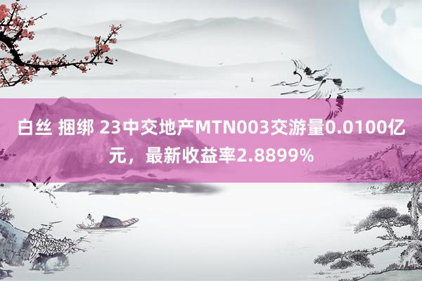 白丝 捆绑 23中交地产MTN003交游量0.0100亿元，最新收益率2.8899%