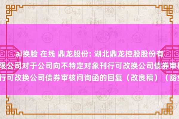 ai换脸 在线 鼎龙股份: 湖北鼎龙控股股份有限公司和招商证券股份有限公司对于公司向不特定对象刊行可改换公司债券审核问询函的回复（改良稿）（豁免版）