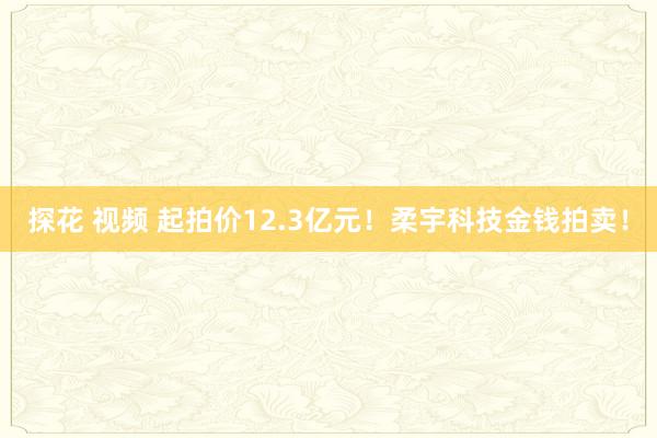 探花 视频 起拍价12.3亿元！柔宇科技金钱拍卖！