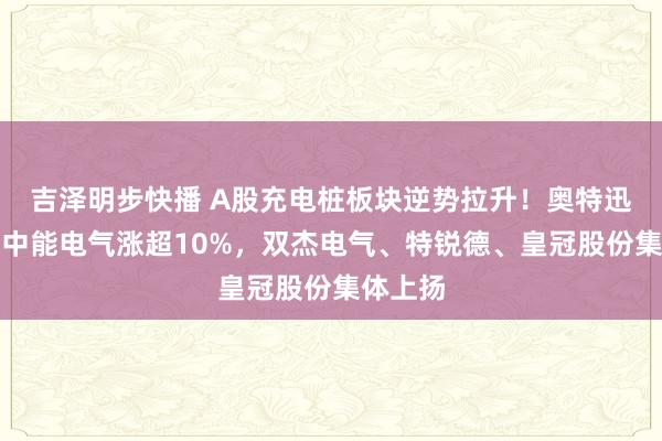 吉泽明步快播 A股充电桩板块逆势拉升！奥特迅封板，中能电气涨超10%，双杰电气、特锐德、皇冠股份集体上扬