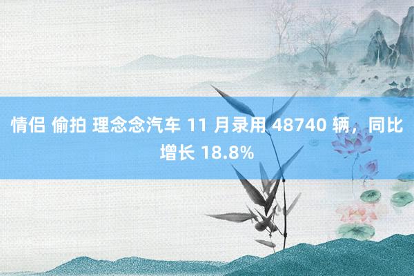 情侣 偷拍 理念念汽车 11 月录用 48740 辆，同比增长 18.8%