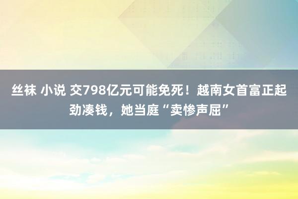 丝袜 小说 交798亿元可能免死！越南女首富正起劲凑钱，她当庭“卖惨声屈”