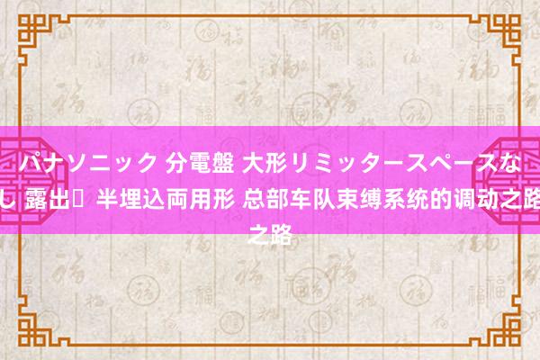 パナソニック 分電盤 大形リミッタースペースなし 露出・半埋込両用形 总部车队束缚系统的调动之路