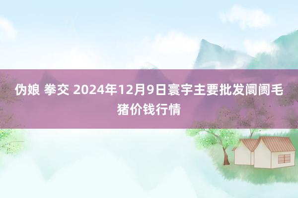 伪娘 拳交 2024年12月9日寰宇主要批发阛阓毛猪价钱行情