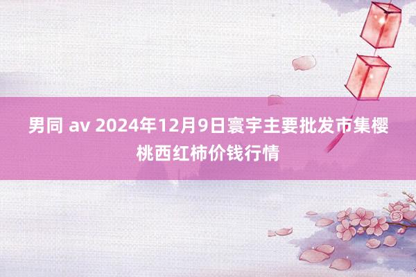 男同 av 2024年12月9日寰宇主要批发市集樱桃西红柿价钱行情