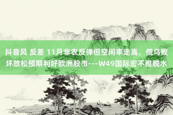 抖音风 反差 11月非农反弹但空闲率走高，俄乌败坏放松预期利好欧洲股市---W49国际宏不雅脱水