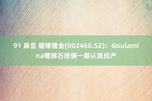 91 麻豆 赣锋锂业(002460.SZ)：Goulamina锂辉石技俩一期认真投产